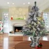 National Tree Company 36" Fiber Optic Evergreen Flocked Tree