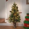 National Tree Company 4 ft. Colonial Entrance Tree with Clear Lights
