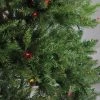 Northlight 10' Prelit Artificial Christmas Tree Full Northern Pine - Multicolor Lights