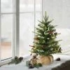 2ft Puleo Pre-Lit Tabletop Artificial Christmas Tree with Pine Cones Clear Lights