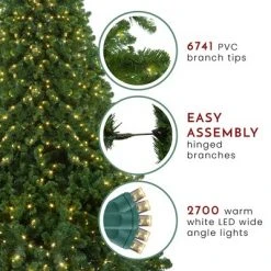 Northlight 14' Pre-Lit Full Olympia Pine Artificial Christmas Tree - Warm White Lights -Christmas Trees Sales Store unnamed file 6533