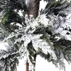 Northlight 35.25" Heavily Flocked Pine Tree in Natural Jute Base Christmas Decoration