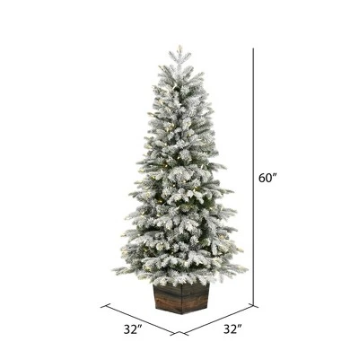 Vickerman 5' x 32" Frosted Wendell Slim Potted Pine Artificial Christmas Tree, Warm White Dura-lit LED Lights 3 Vickerman 5' x 32" Frosted Wendell Slim Potted Pine Artificial Christmas Tree, Warm White Dura-lit LED Lights - Image 3