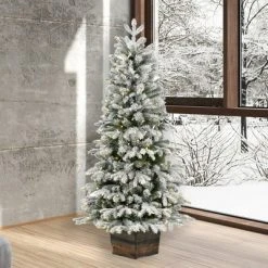 Vickerman 5' x 32" Frosted Wendell Slim Potted Pine Artificial Christmas Tree, Warm White Dura-lit LED Lights 7 Vickerman 5' x 32" Frosted Wendell Slim Potted Pine Artificial Christmas Tree, Warm White Dura-lit LED Lights -Christmas Trees Sales Store unnamed file 6898