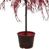 CMI 3.8' Unlit Artificial Christmas Tree Copper Holiday Crystallized Potted Glitter
