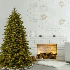 National Tree Company 9 ft. PowerConnect(TM) Princeton Deluxe Fraser Fir with Dual ColorĀ® LED Lights