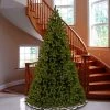 National Tree Company 'Feel Real' Artificial Giant Full Downswept Christmas Tree, Green, Douglas Fir, Includes Stand, 10 feet