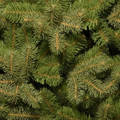 National Tree Company 'Feel Real' Artificial Giant Full Downswept Christmas Tree, Green, Douglas Fir, Includes Stand, 10 feet 2 National Tree Company 'Feel Real' Artificial Giant Full Downswept Christmas Tree, Green, Douglas Fir, Includes Stand, 10 feet - Image 2
