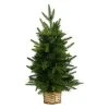 Nearly Natural 24" Pre-Lit LED Artificial Christmas Tree in Decorative Basket White Lights