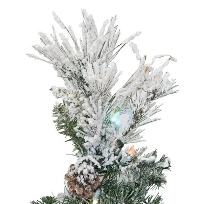 6.5ft Pre-Lit Flocked Alberta with Cone Artificial Tree 600 LED Multicolor - Vickerman 1 6.5ft Pre-Lit Flocked Alberta with Cone Artificial Tree 600 LED Multicolor - Vickerman