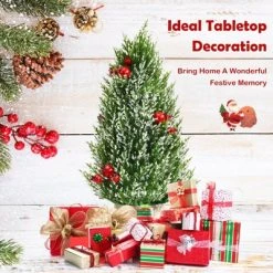 Tangkula 18.5” Realistic Christmas Tree Tabletop Artificial Xmas Tree w/ 170 Snowy Tips 6 Pomegranate Clusters 11 Tangkula 18.5” Realistic Christmas Tree Tabletop Artificial Xmas Tree w/ 170 Snowy Tips 6 Pomegranate Clusters -Christmas Trees Sales Store unnamed file 7451