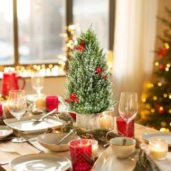 Tangkula 18.5” Realistic Christmas Tree Tabletop Artificial Xmas Tree w/ 170 Snowy Tips 6 Pomegranate Clusters 15 Tangkula 18.5” Realistic Christmas Tree Tabletop Artificial Xmas Tree w/ 170 Snowy Tips 6 Pomegranate Clusters -Christmas Trees Sales Store unnamed file 7455