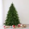 Northlight 6.5' Roosevelt Fir Artificial Christmas Tree - Unlit