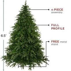 Northlight 6.5' Roosevelt Fir Artificial Christmas Tree - Unlit -Christmas Trees Sales Store unnamed file 756