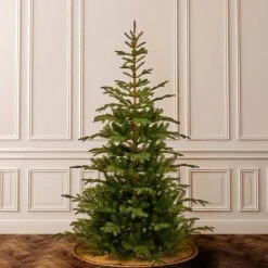 National Tree Company 7.5 ft. Norwegian Spruce Tree