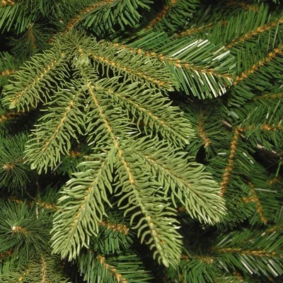 National Tree Company 7.5 ft. Norwegian Spruce Tree 2 National Tree Company 7.5 ft. Norwegian Spruce Tree - Image 2