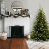 National Tree Company 6ft National Christmas Tree Company Kincaid Spruce Artificial Christmas Tree Bulb Clear