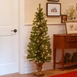 National Tree Company 5ft National Christmas Tree Company Montclair Spruce Artificial Pencil Christmas Tree 100ct Clear