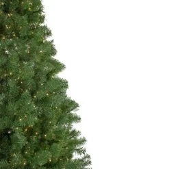 Northlight 7.5' Prelit Artificial Christmas Tree LED Deer River Spruce - Warm White Lights 8 Northlight 7.5' Prelit Artificial Christmas Tree LED Deer River Spruce - Warm White Lights -Christmas Trees Sales Store unnamed file 7756
