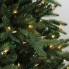 Northlight 9' Prelit Artificial Christmas Tree Aurora Spruce - Clear Lights