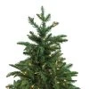 Northlight 4.5' Prelit Artificial Christmas Tree Potted Sierra Norway Spruce - Clear Lights