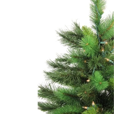 Northlight 3' Prelit Artificial Christmas Tree New Carolina Spruce - Clear Lights 2 Northlight 3' Prelit Artificial Christmas Tree New Carolina Spruce - Clear Lights - Image 2
