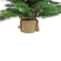 Northlight 3' Prelit Artificial Christmas Tree New Carolina Spruce - Clear Lights 6 Northlight 3' Prelit Artificial Christmas Tree New Carolina Spruce - Clear Lights -Christmas Trees Sales Store unnamed file 7880