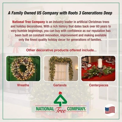 National Tree Company Bayberry Spruce 9 Foot Prelit Artificial Christmas Holiday Tree with White and Multicolor LED Lights, Easy Assembly, Metal Stand 4 National Tree Company Bayberry Spruce 9 Foot Prelit Artificial Christmas Holiday Tree with White and Multicolor LED Lights, Easy Assembly, Metal Stand - Image 4