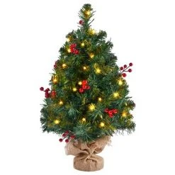 Yaheetech Tabletop Christmas Tree with LED Lights & Red Berries, Green -Christmas Trees Sales Store unnamed file 8148