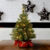 National Tree Company 2ft National Christmas Tree Company Majestic Fir Artificial Christmas Tree 35ct Clear