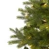 Nearly Natural Pre-Lit LED North Carolina Spruce Artificial Christmas Tree Clear Lights