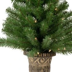 Northlight 5-Piece Pre-Lit Artificial Wolcott Spruce Christmas Entryway Set -Christmas Trees Sales Store unnamed file 8348