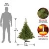 National Tree Company 4 Foot Small Artificial Fake Unlit Kincaid Spruce Holiday Festive Décor Tree with Metal Base, Easy Assembly
