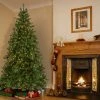 National Tree Company 7.5 ft. Victoria Spruce Tree with Clear Lights