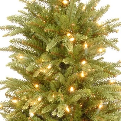 National Tree Company 4 ft. Weeping Spruce Tree with Clear Lights 2 National Tree Company 4 ft. Weeping Spruce Tree with Clear Lights - Image 2