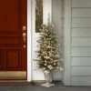 National Tree Company 4 ft. Snowy Sheffield Spruce Entrance Tree with Clear Lights