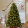 National Tree Company 7 ft. Newberry® Spruce Tree with Clear Lights