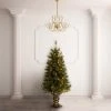 National Tree Company 4 ft. Atlanta Spruce Entrance Tree with Clear Lights