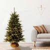National Tree Company 4ft National Christmas Tree Company Burlap Artificial Christmas Tree with 150 Clear Lights