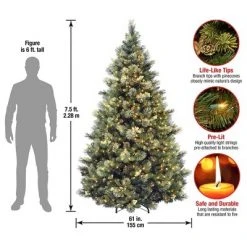 National Tree Company Carolina Pine 7.5 Foot Artificial Holiday Prelit Christmas Tree w/750 Clear Lights, Pinecones, 1399 Branch Tips and Metal Stand 6 National Tree Company Carolina Pine 7.5 Foot Artificial Holiday Prelit Christmas Tree w/750 Clear Lights, Pinecones, 1399 Branch Tips and Metal Stand -Christmas Trees Sales Store unnamed file 8470