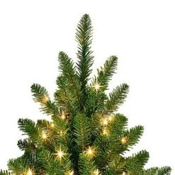 Primo International Puleo International 6.5 Foot Fraser Fir Prelit Artificial Slim Christmas Tree with 350 UL Listed Clear Lights, 1125 Branch Tips & Metal Stand, Green 7 Primo International Puleo International 6.5 Foot Fraser Fir Prelit Artificial Slim Christmas Tree with 350 UL Listed Clear Lights, 1125 Branch Tips & Metal Stand, Green -Christmas Trees Sales Store unnamed file 8517