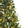 Kurt S. Adler Kurt Adler 7' Pre-Lit Sierra Green Tree PVC and PE Christmas Tree