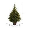 Vickerman Reeder Pine Artificial Christmas Tree