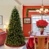 6.5ft Pre-lit Slim Jersey Fraser Fir Artificial Christmas Tree Clear Lights - National Tree Company