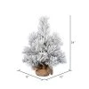 Vickerman Frosted Beckett Pine Artificial Christmas Tree