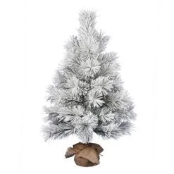 Vickerman Frosted Beckett Pine Artificial Christmas Tree -Christmas Trees Sales Store unnamed file 8766