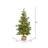 Vickerman Vernon Pine Artificial Christmas Tree
