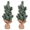Vickerman Spruce Sapling Artificial Christmas Tree Tabletop