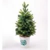 Plow & Hearth Lighted Tabletop Christmas Tree in White Bucket with Holly Design
