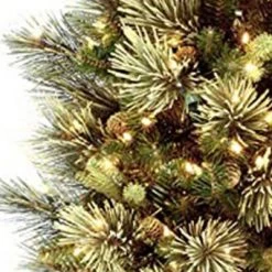 National Tree Company Carolina Pencil Pine 12 Foot Artificial Holiday Prelit Tree with 1000 White Lights, Pinecones, 1900 Branch Tips and Stand 6 National Tree Company Carolina Pencil Pine 12 Foot Artificial Holiday Prelit Tree with 1000 White Lights, Pinecones, 1900 Branch Tips and Stand -Christmas Trees Sales Store unnamed file 9131